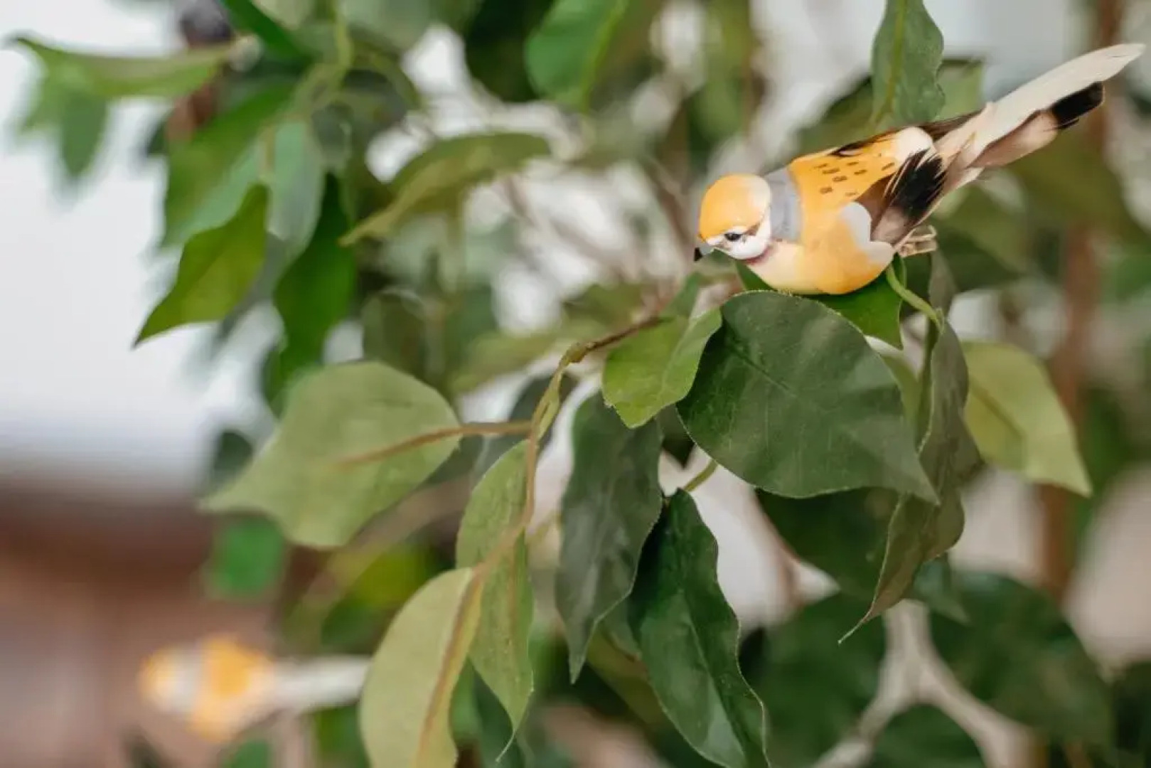 Апартаменты Live in Karelia на Федосовой 27