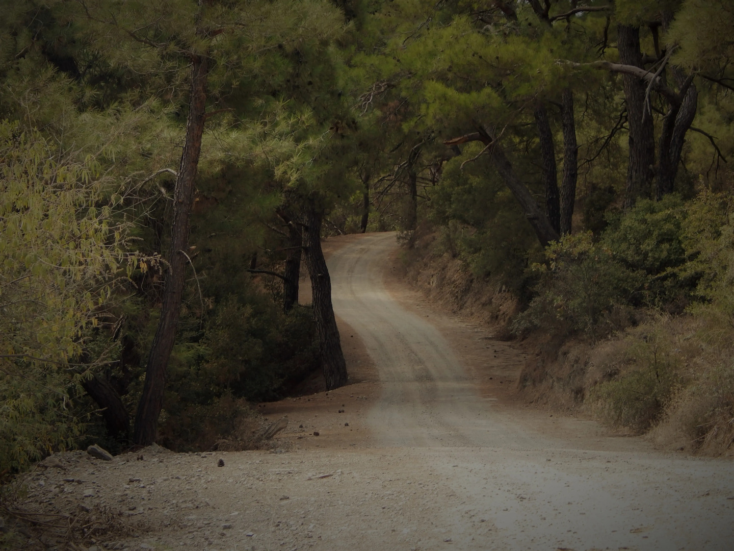 Отель Gödence Restoran