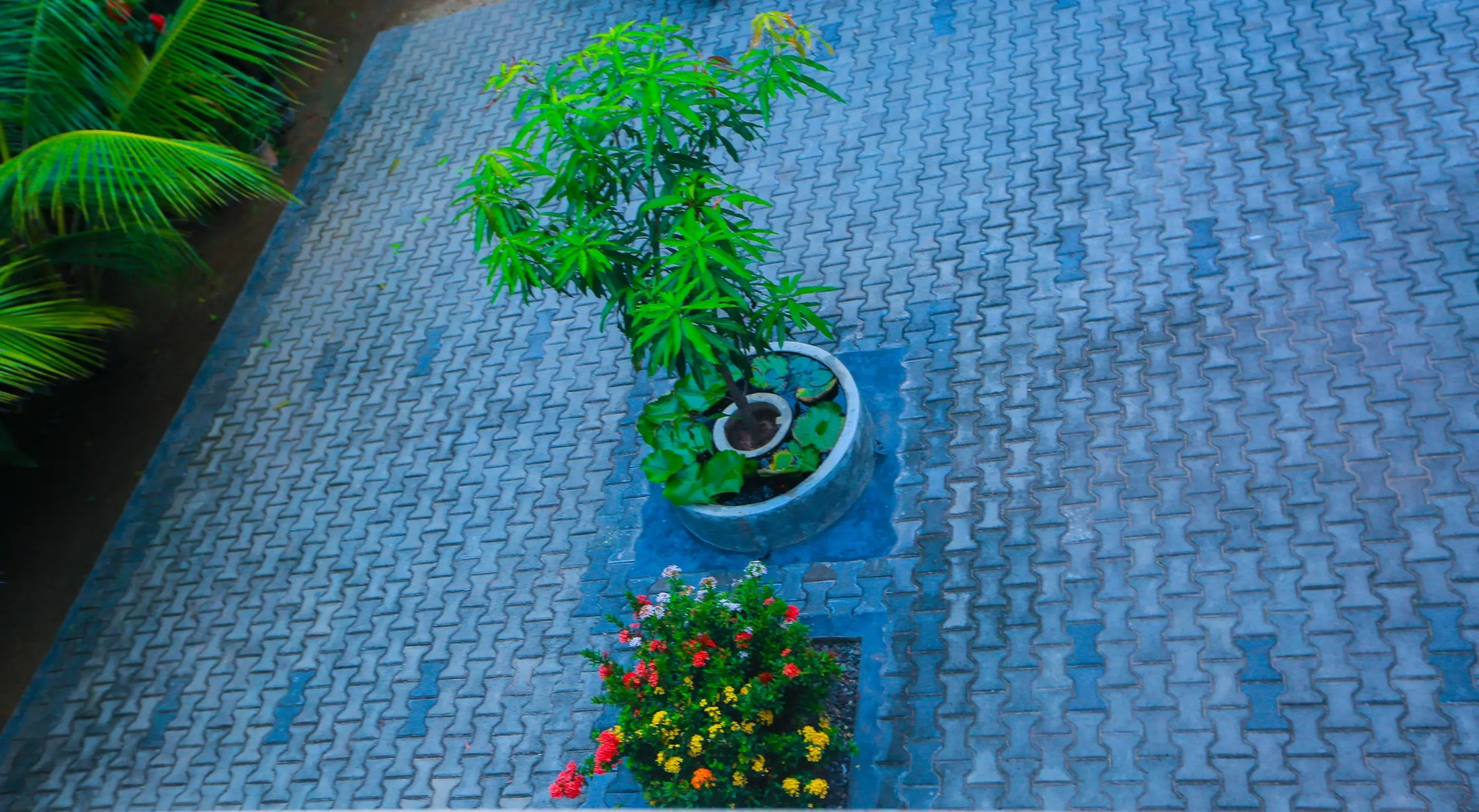 Вилла Sri Lankan