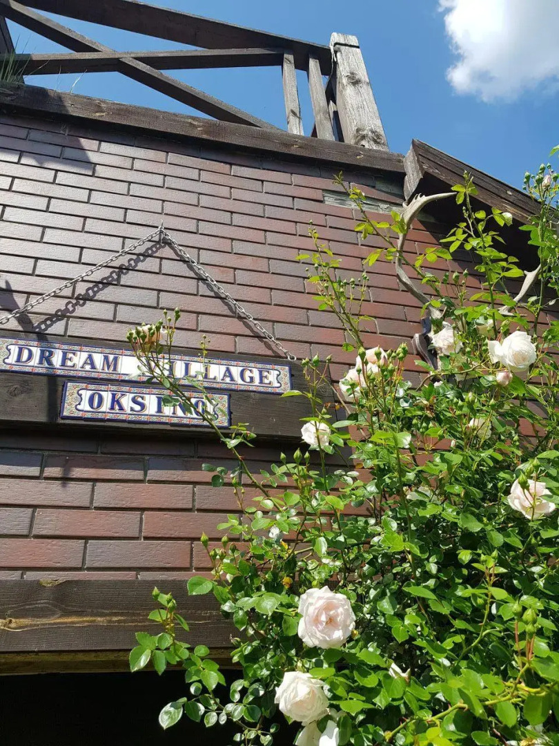 Гостевой дом Dream Village Oksino