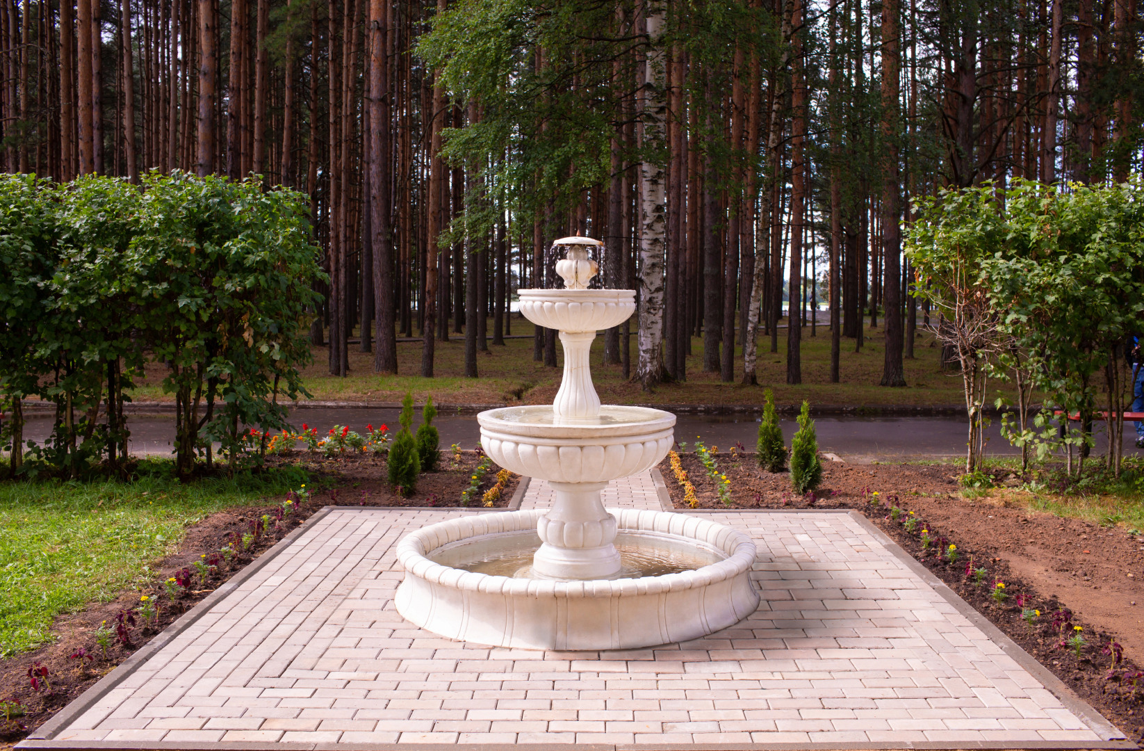 Санаторий Золотой Колос