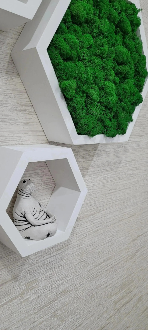 Квартира в центре города Оленегорск