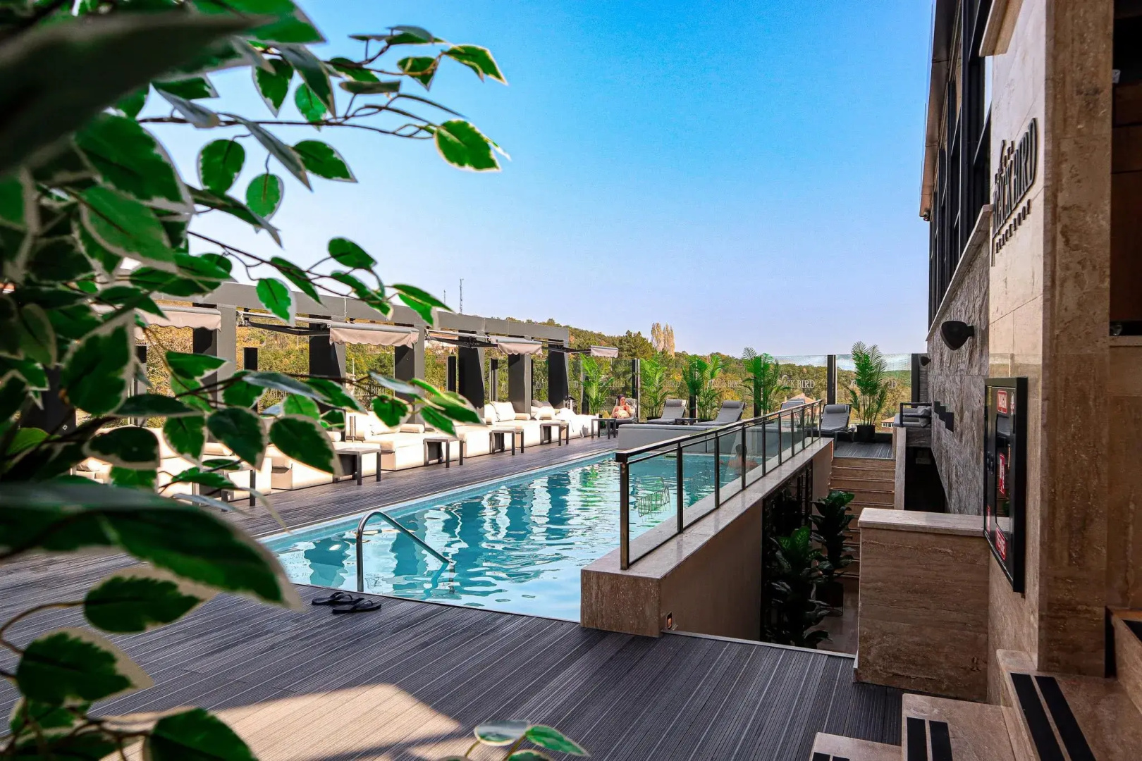 Black Bird Thermal & Spa Yalova Hotel