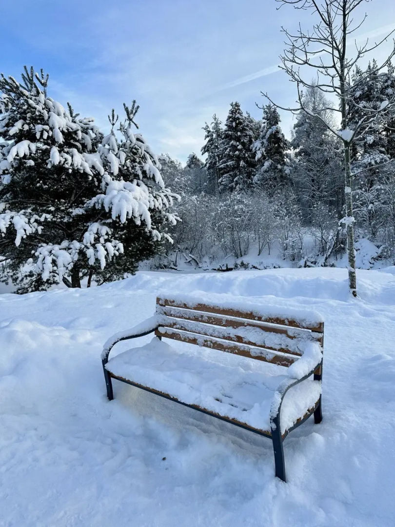 Апартаменты Ohta Suite 24