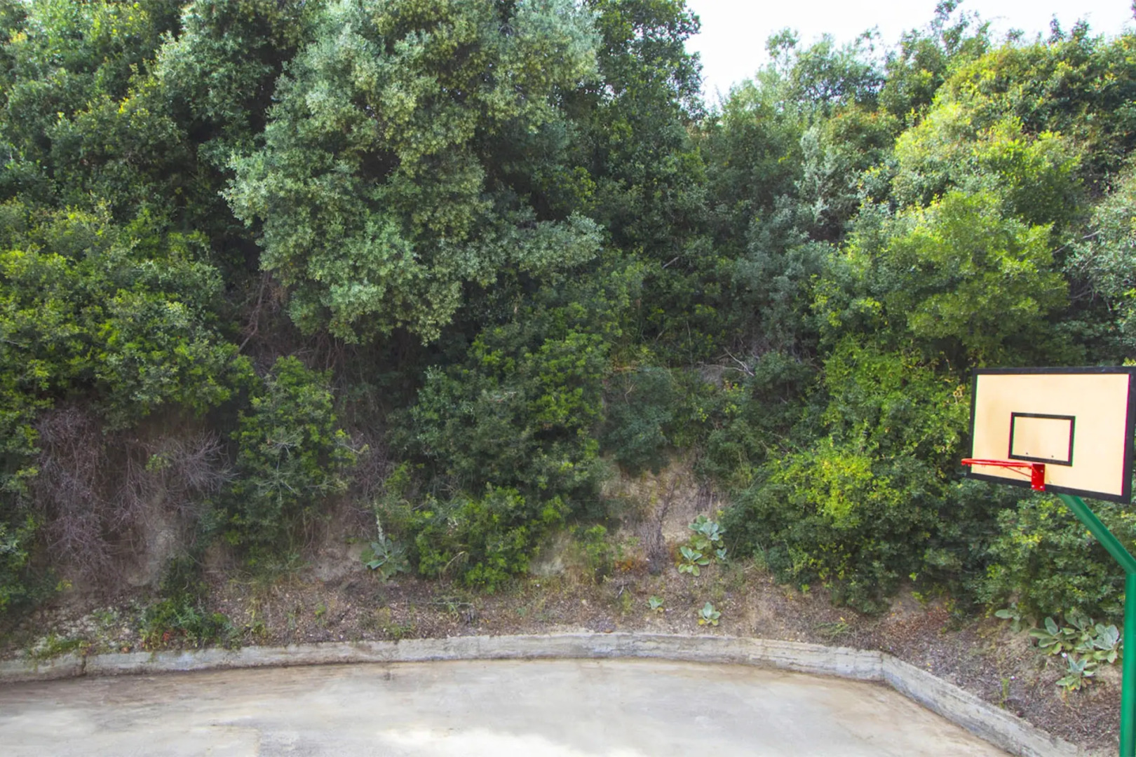 Вилла Willow Sea View