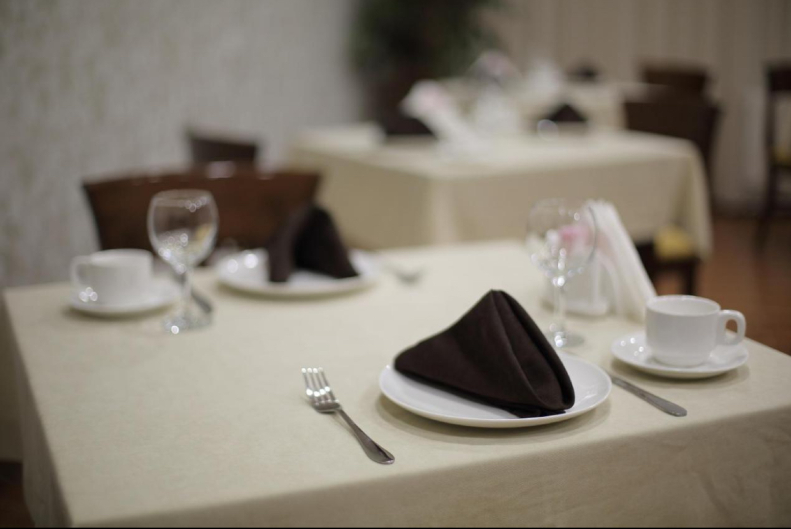 Отель DSF GARDEN HOTEL