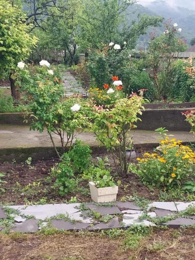 Гостевой дом Gala Guesthouse