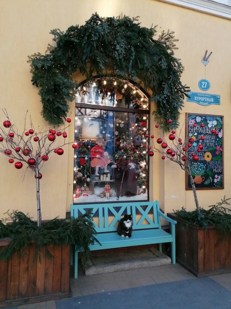 Tour de Cranz Уютная Квартира с Большим Балконом