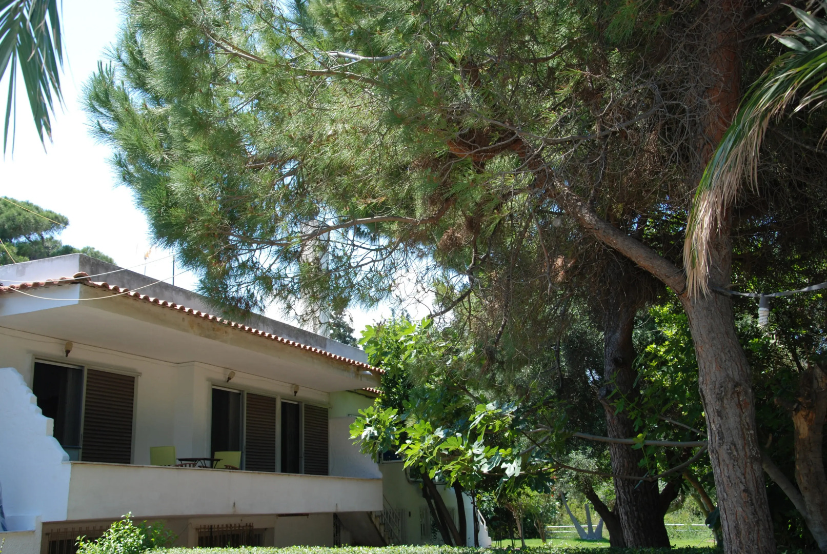 Вилла Alexander