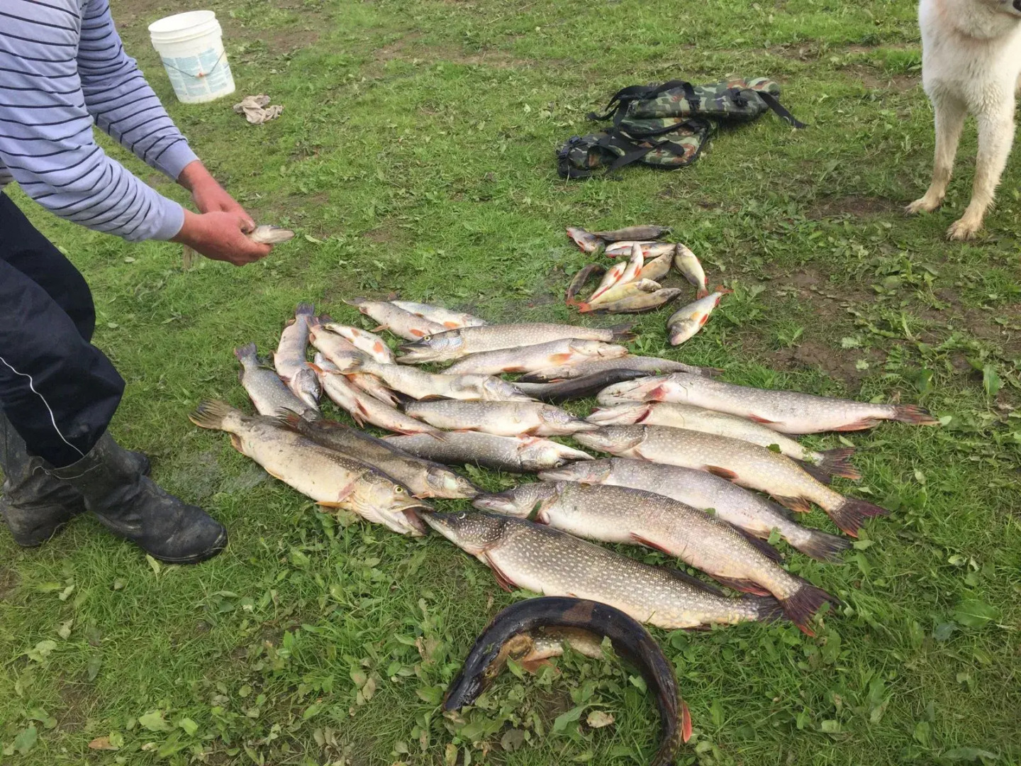 База отдыха Туган-як