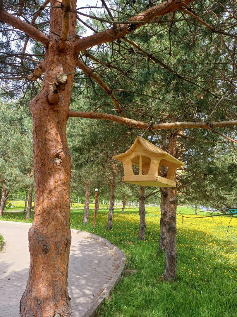 Парк-отель Чеснава