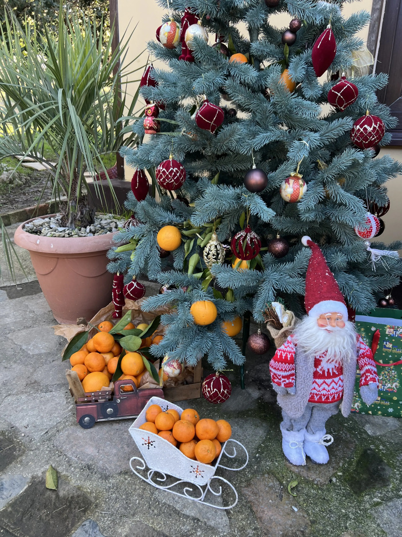 Частный дом Мандариновый дворик