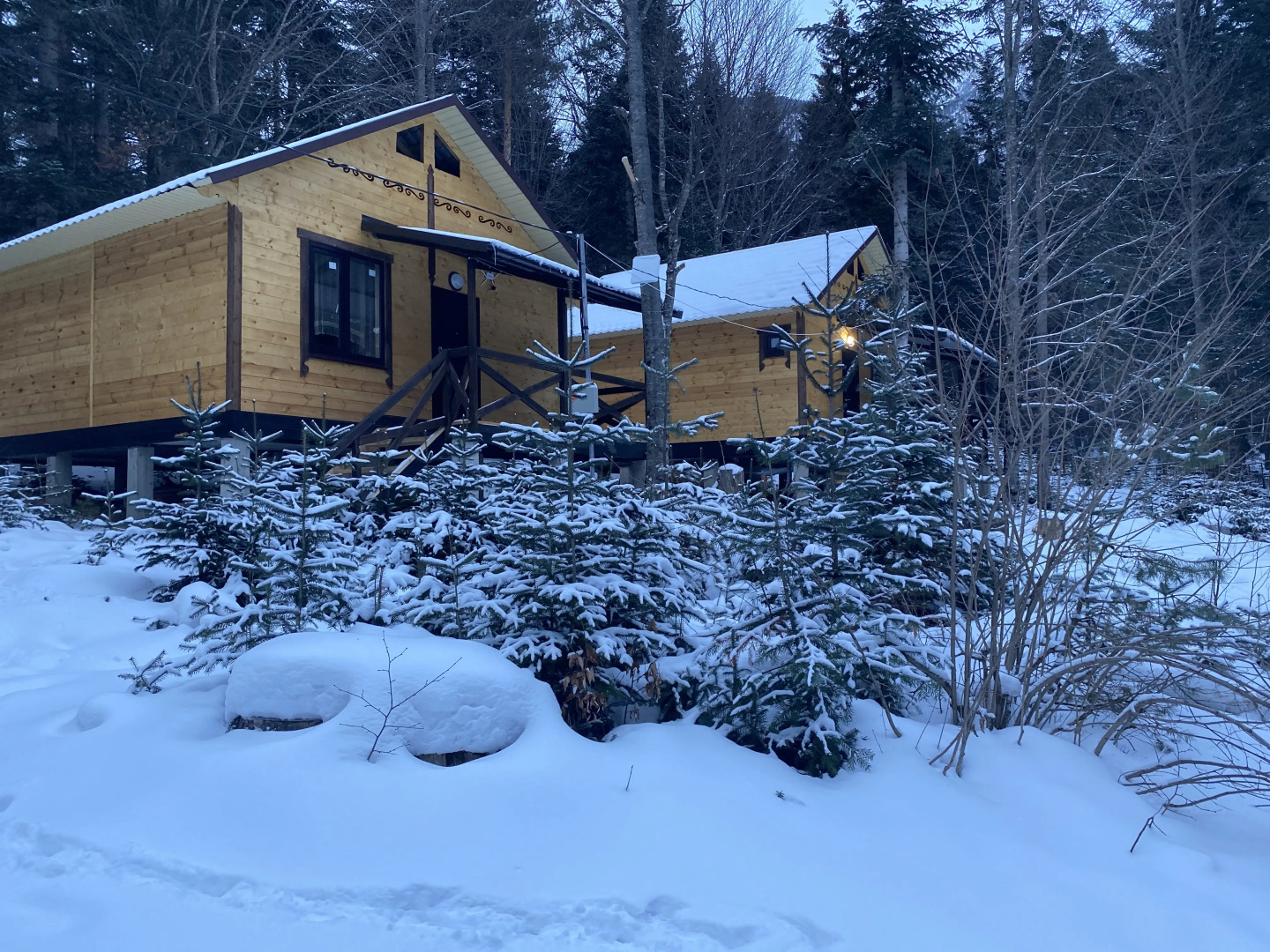 База отдыха Поляна Зубров