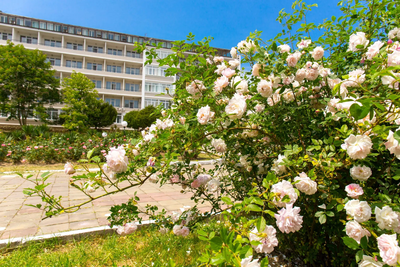 Санаторий Архипо-Осиповка ФМБА России