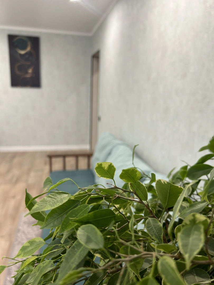 Квартира 2-комнатная