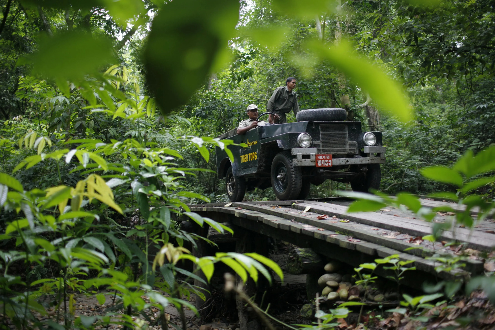 Кемпинг Tigertops Elephant Camp