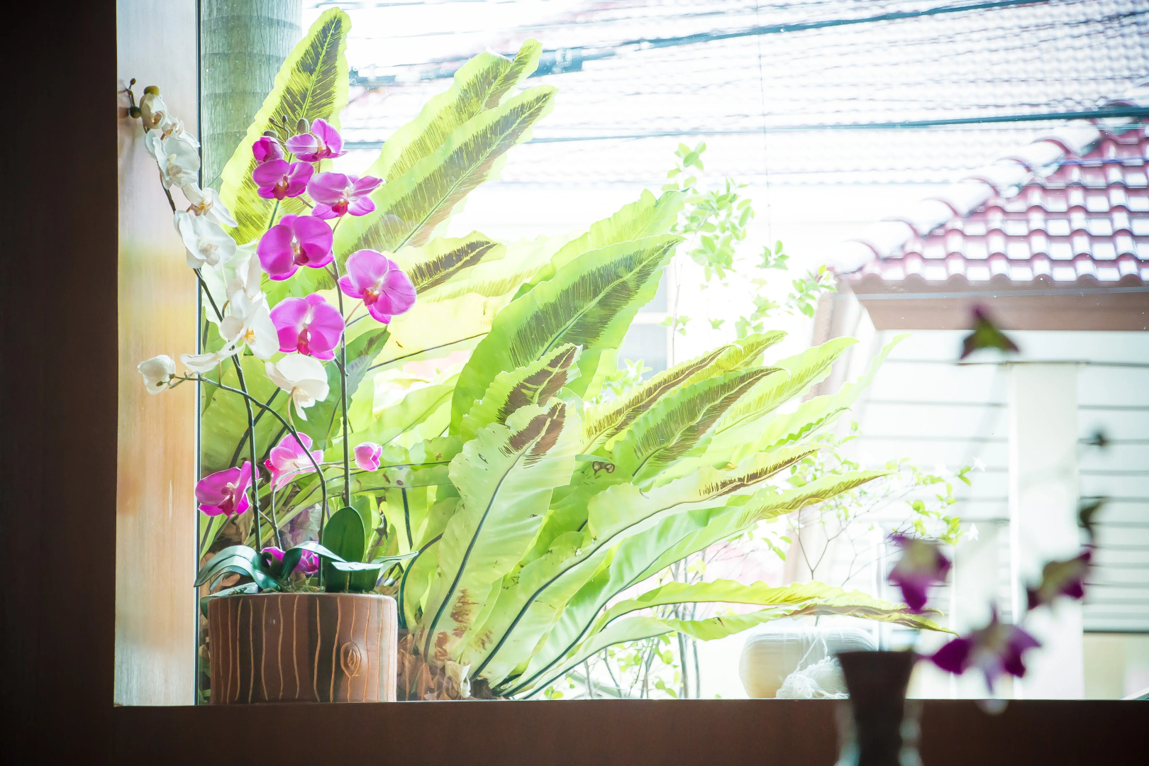 Отель Suchanan Hotel & Spa