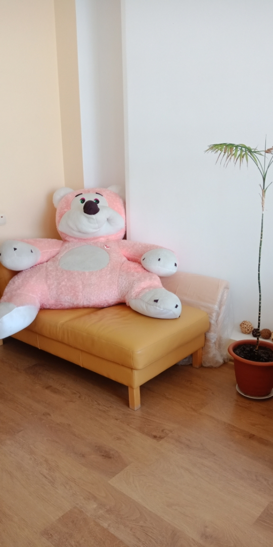 Отель Центральная