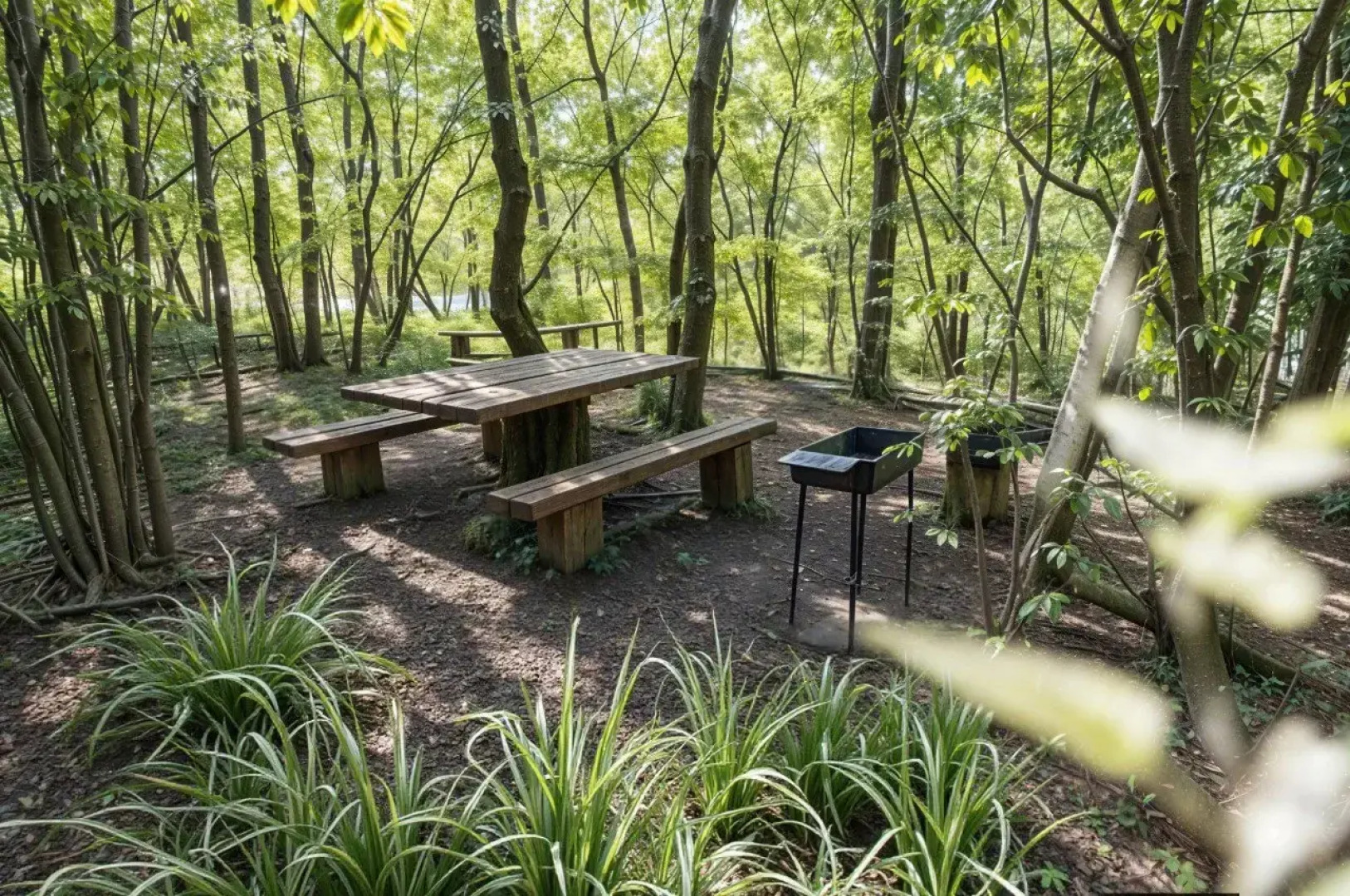 Sheraton Skypoint Luxe