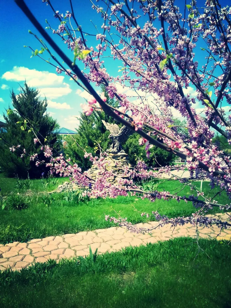 База Отдыха Алмаз Аква Плаза