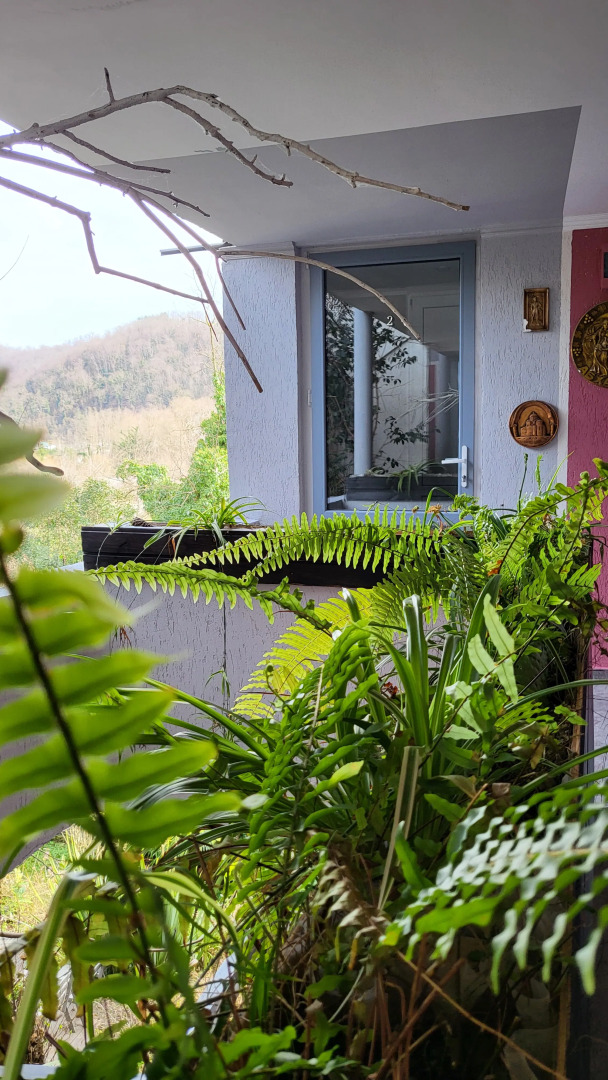 Гостевой дом Макс