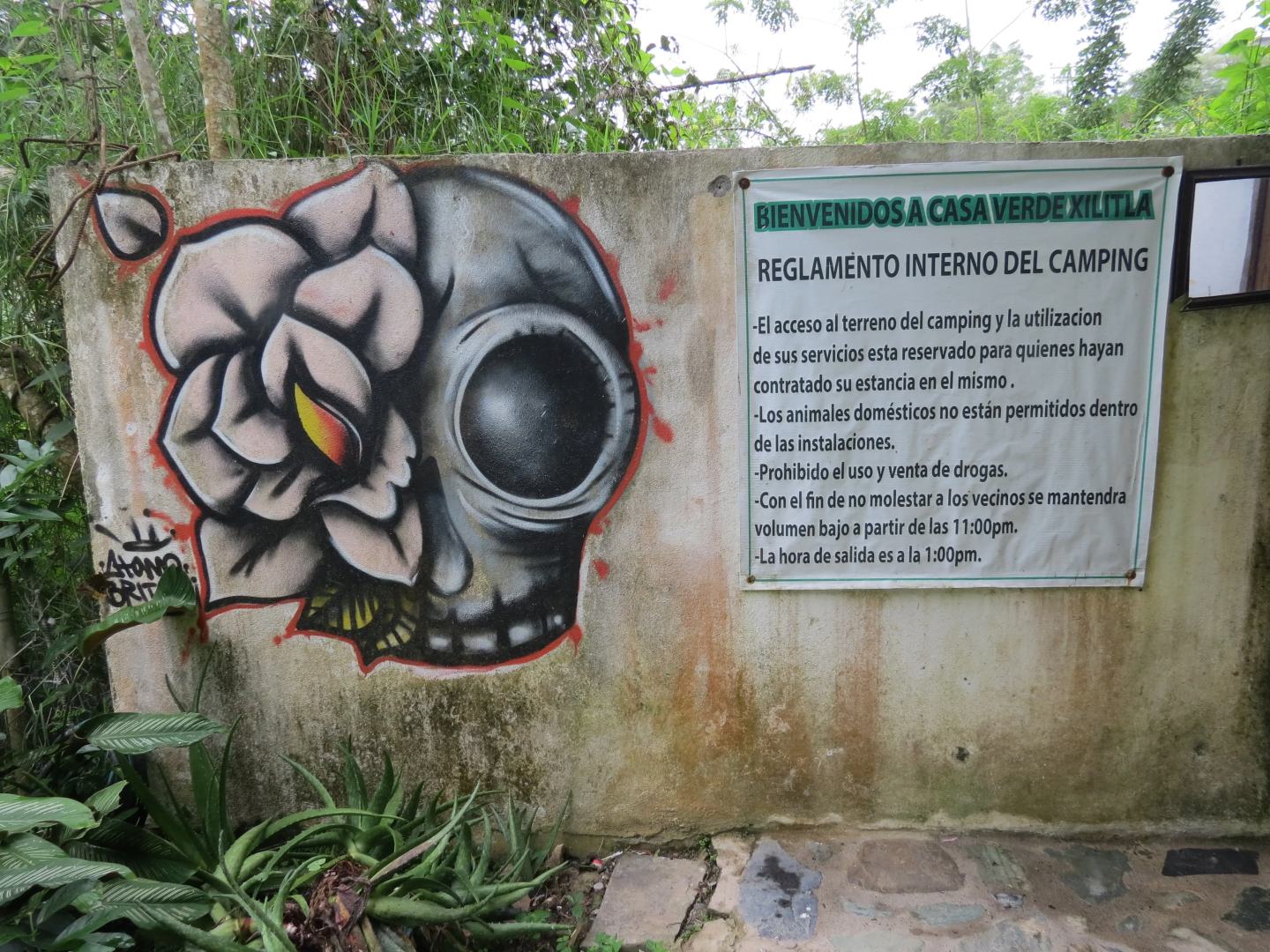 Отель Casa Verde Xilitla by Rotamundos