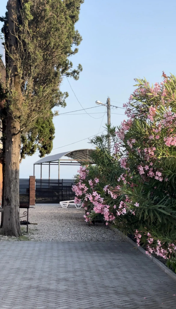 База отдыха Шезлонг