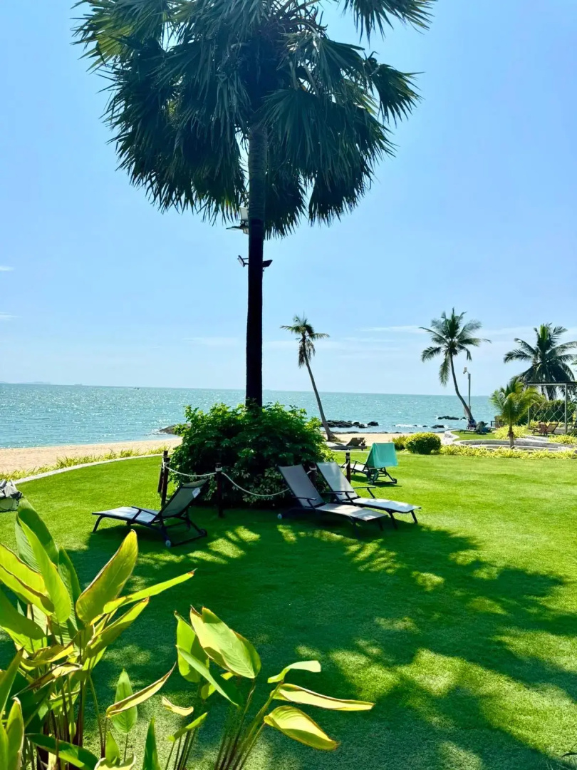 Апартаменты Palm Wongamat Pattaya