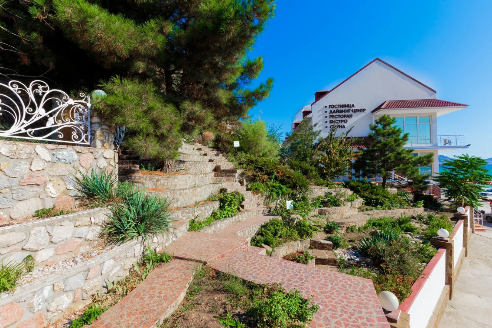 Отель Белый Грифон