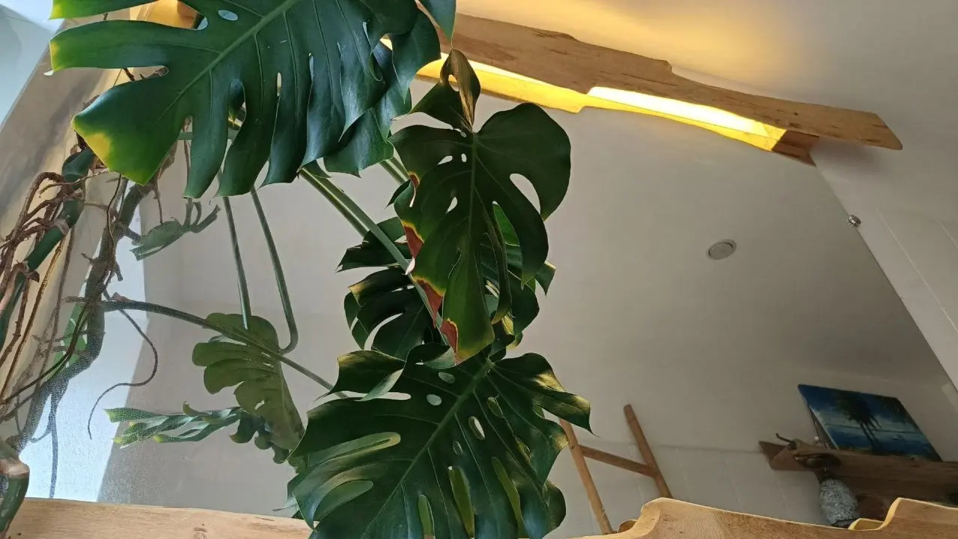 Частный Дом Zen Lodge Красная Поляна