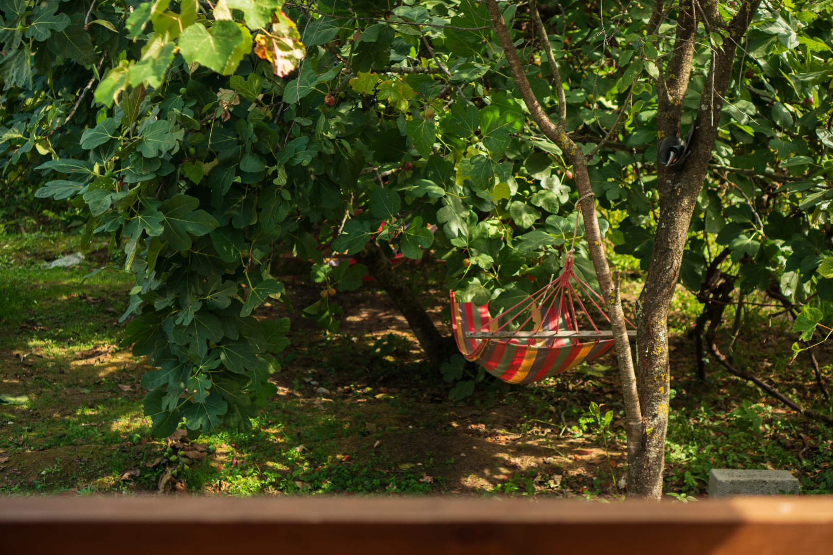 Гостевой дом Листва