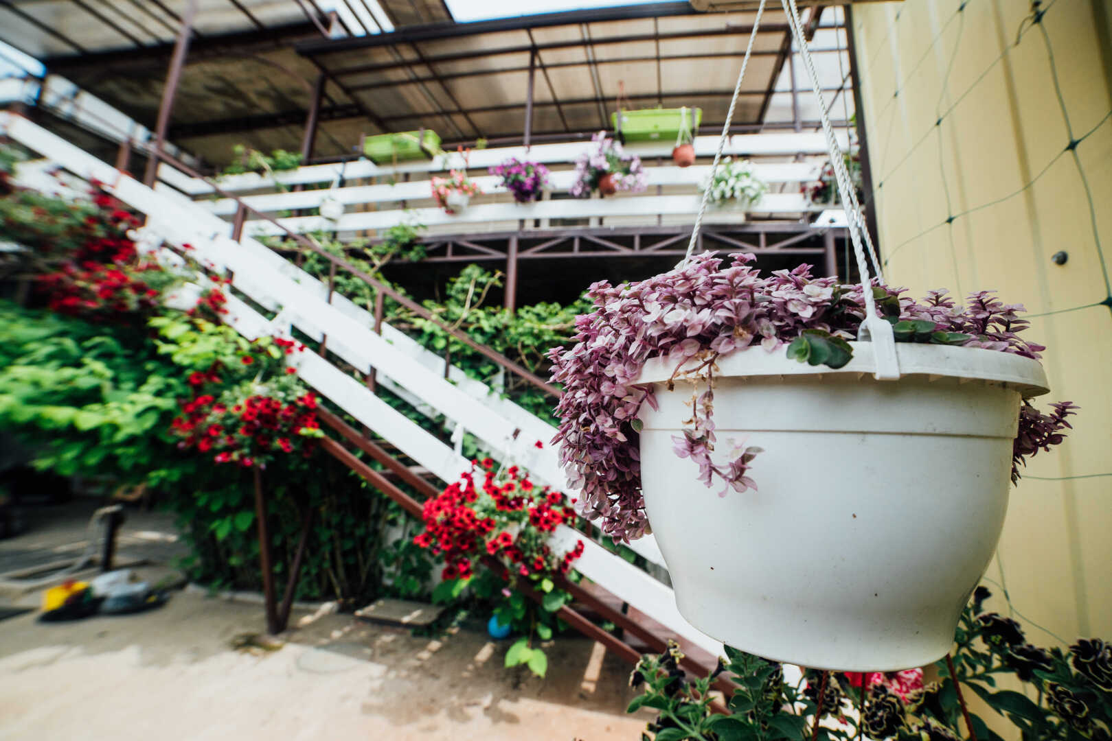 Гостевой дом Домик у Моря