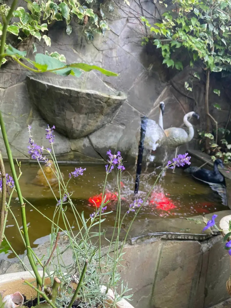 Меблированный комнаты Гавань-Адлер