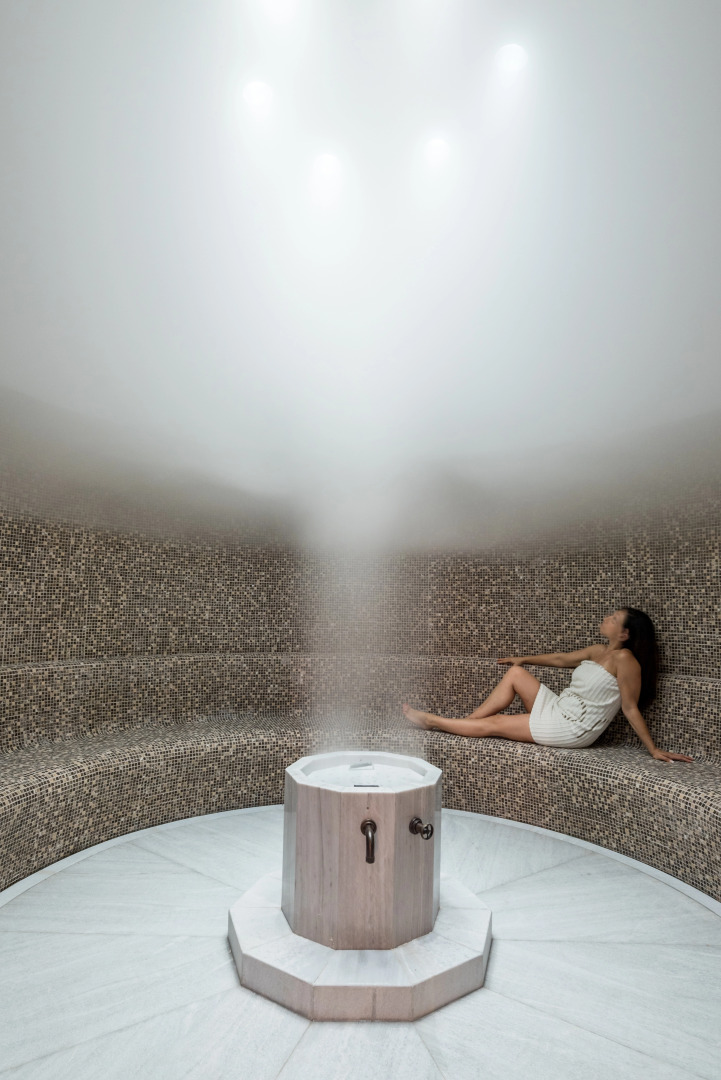 Отель Euphoria Retreat - A Holistic Wellbeing Destination Spa