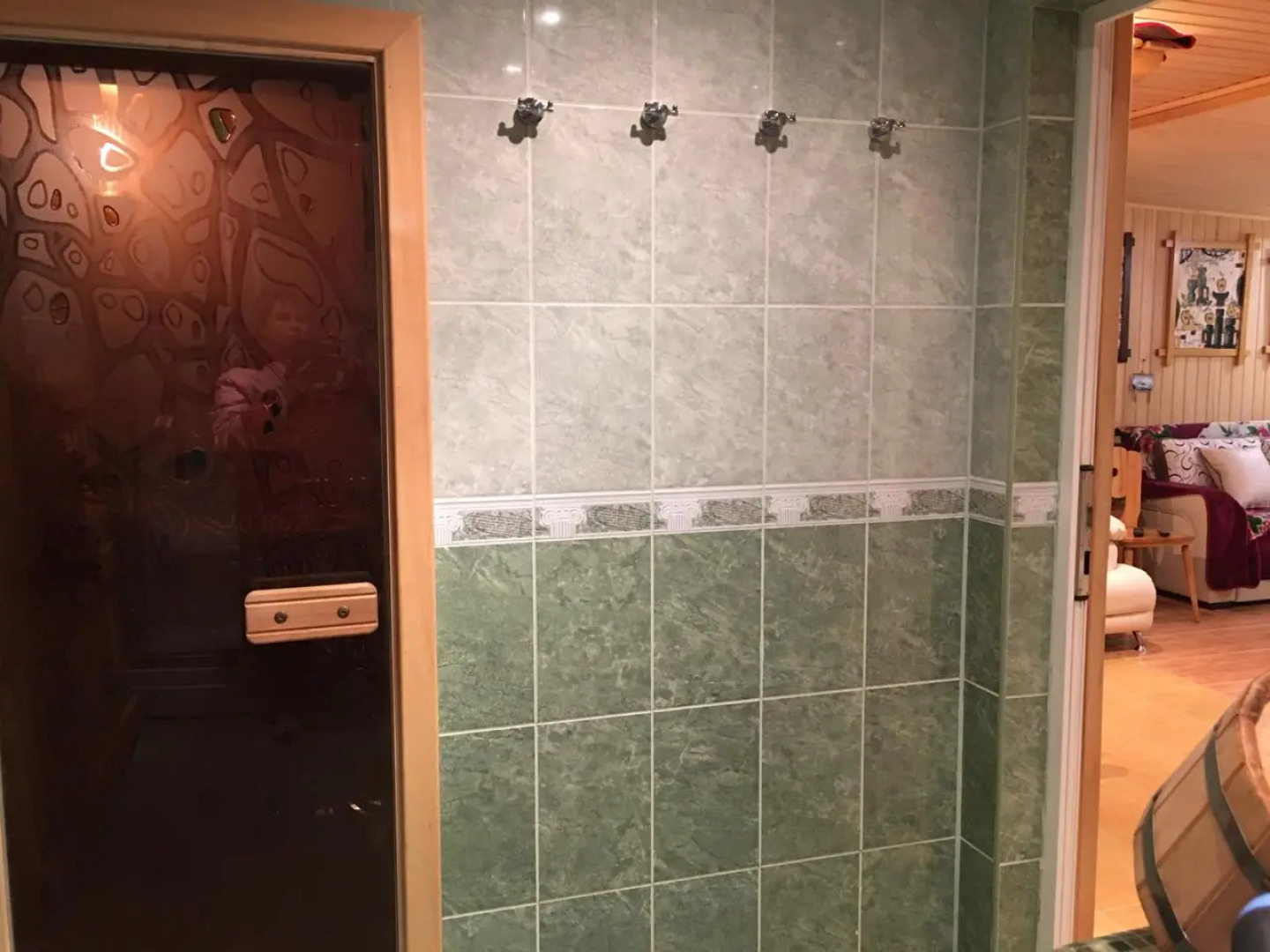 Частный дом с сауной и с зоной барбекю