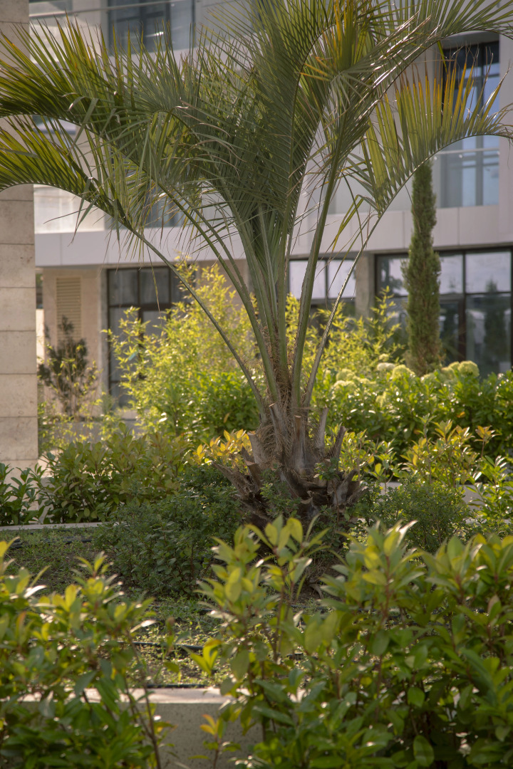 Квартира Зеленая лагуна