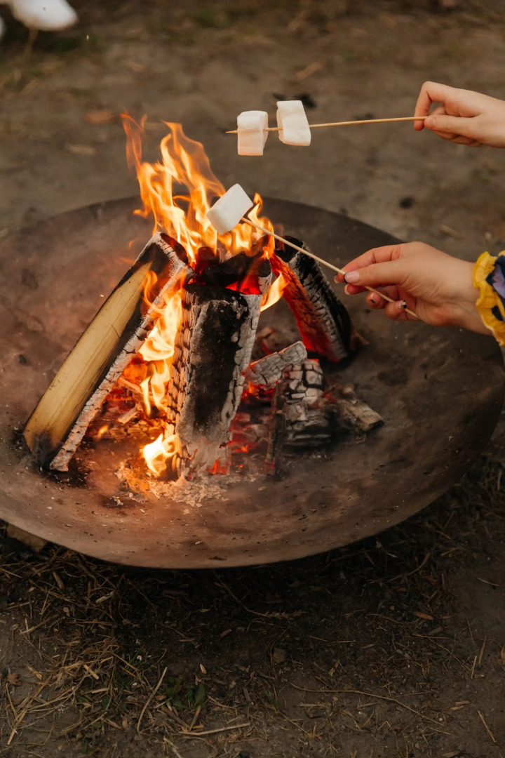 Кемпинг 1000 Звезд