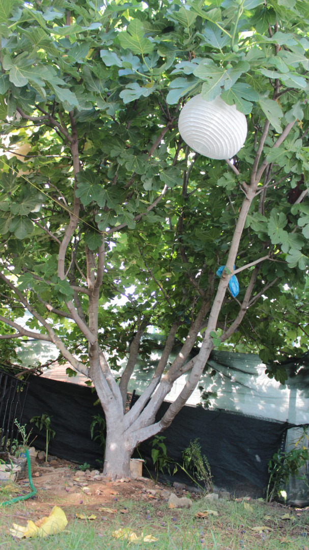 Частный Дом Aloanda House