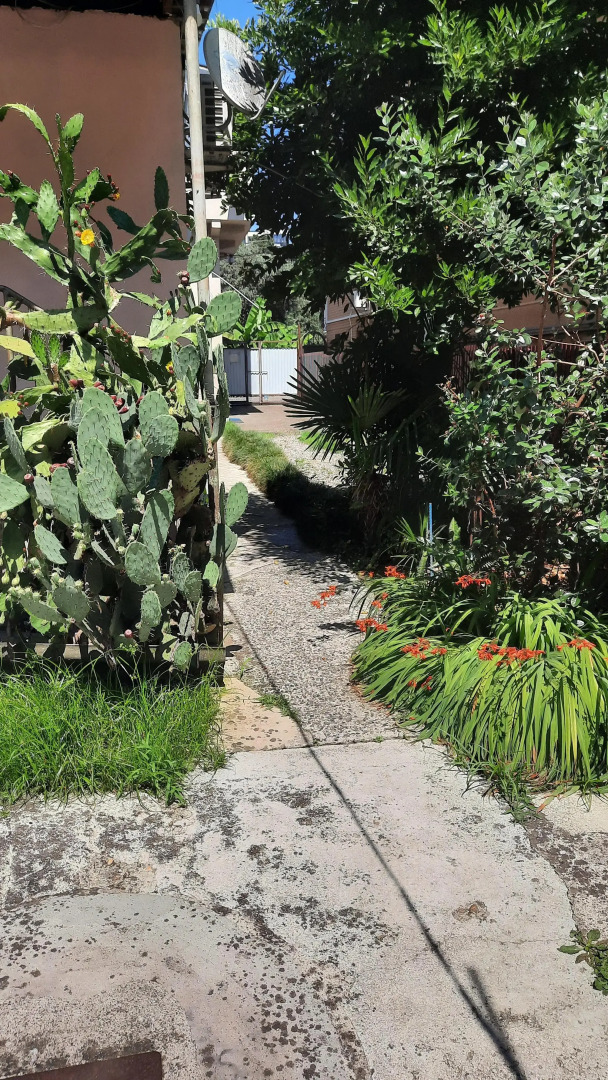 Жилое помещение Bamboo Garden