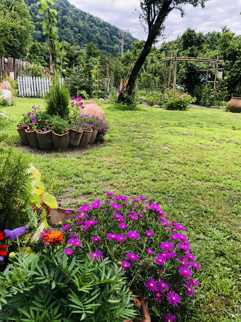 Guesthouse STAR Lagodekhi