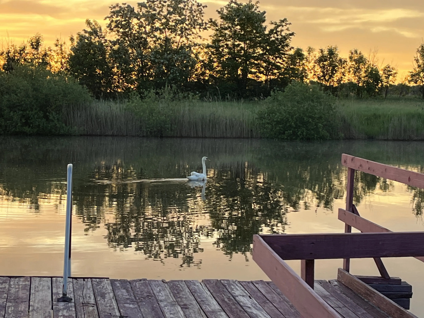 База отдыха Золотой сазан