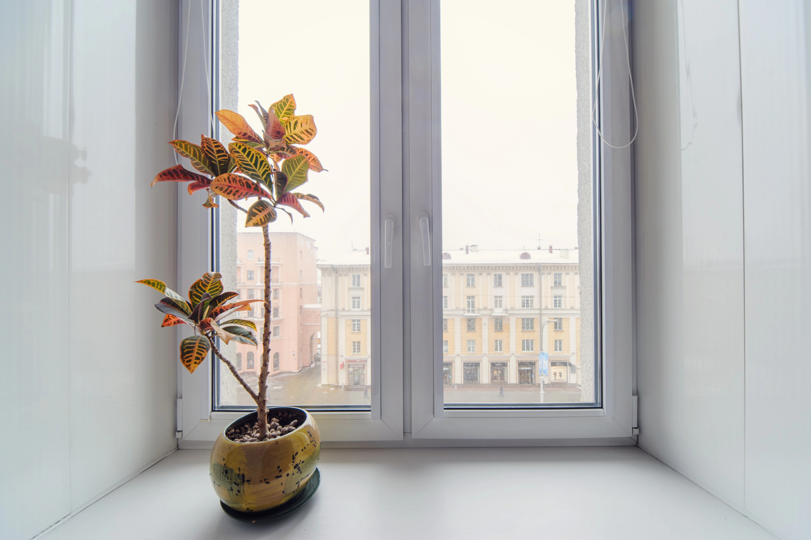 Апартаменты в центре рядом с Динамо и ТЦ Столица