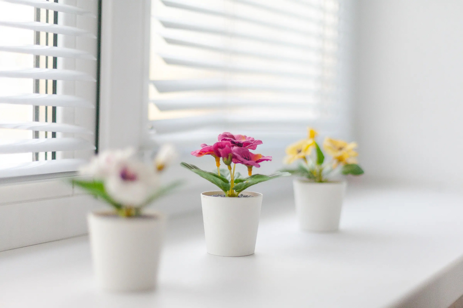 Апартаменты Бизнес в Крутые Ключи