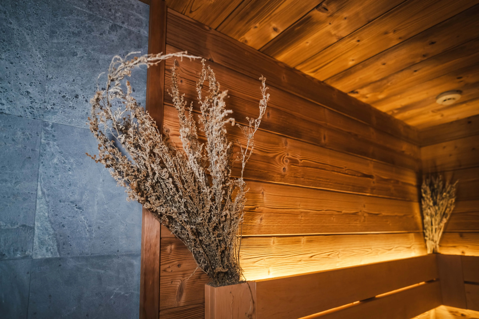 Отель Mercure Hotel and Residences Saint Petersburg