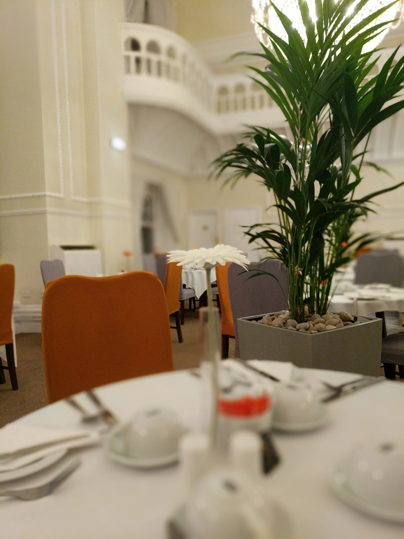 Отель Royal Kings Arms