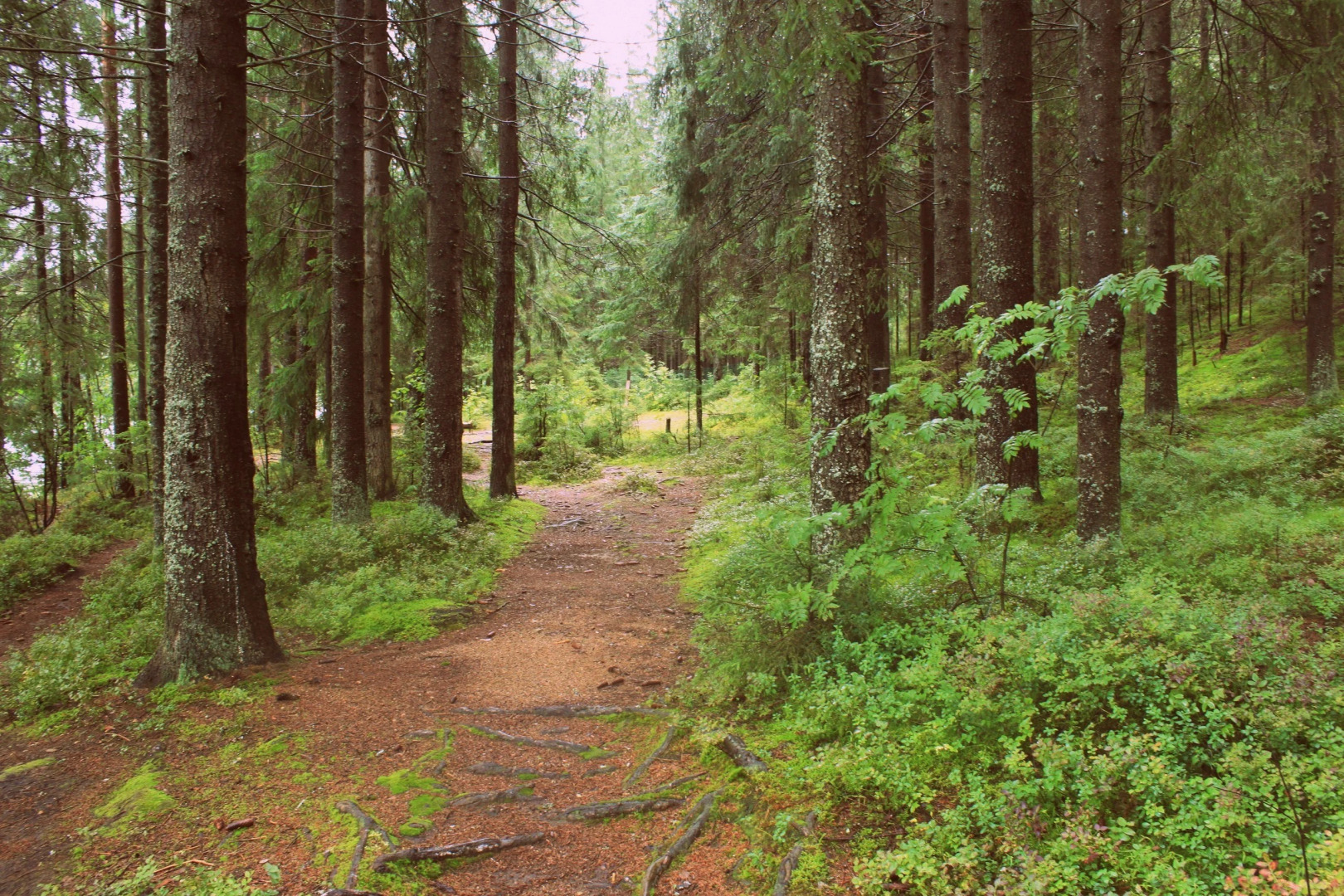 База Отдыха Ильичево