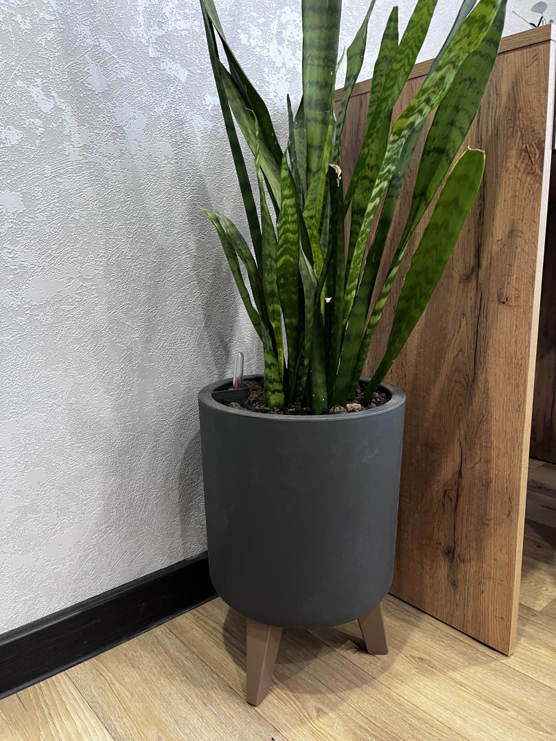 Апартаменты Уютные на Южной