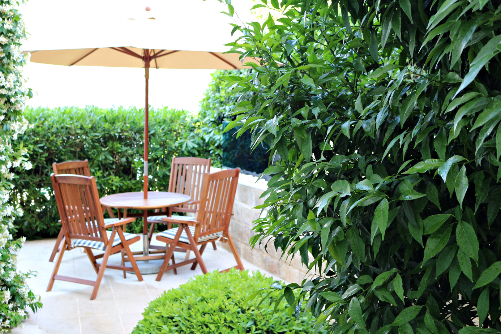 Апартаменты MiraMare-adriatica