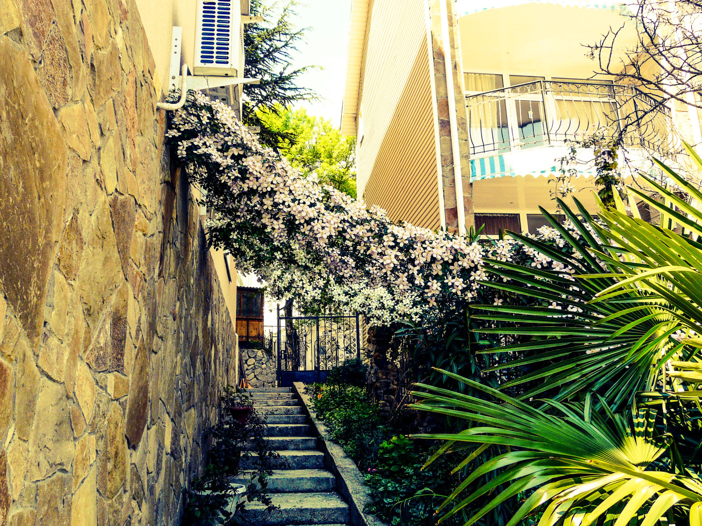 Вилла Ренессанс