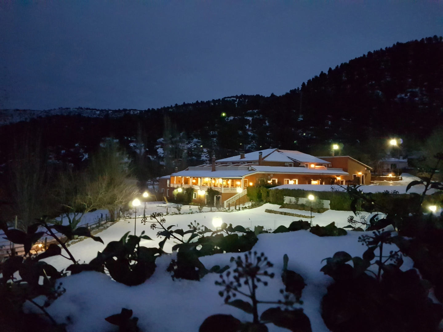 Hospedium Hotel Val de Pinares